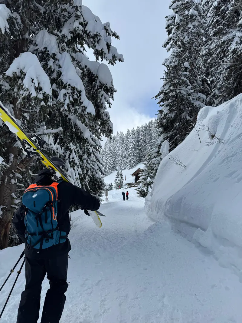 A skier carrying skis along a snowy forest track