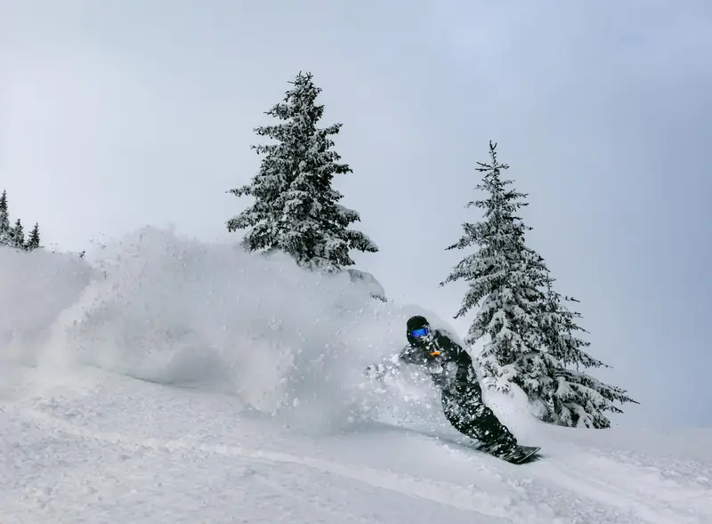 A snowboarder spraying powder between fir trees