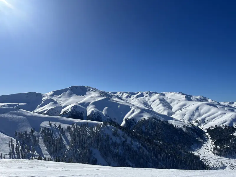 Wide snow-covered ridges and forested valleys of the Šar Mountains