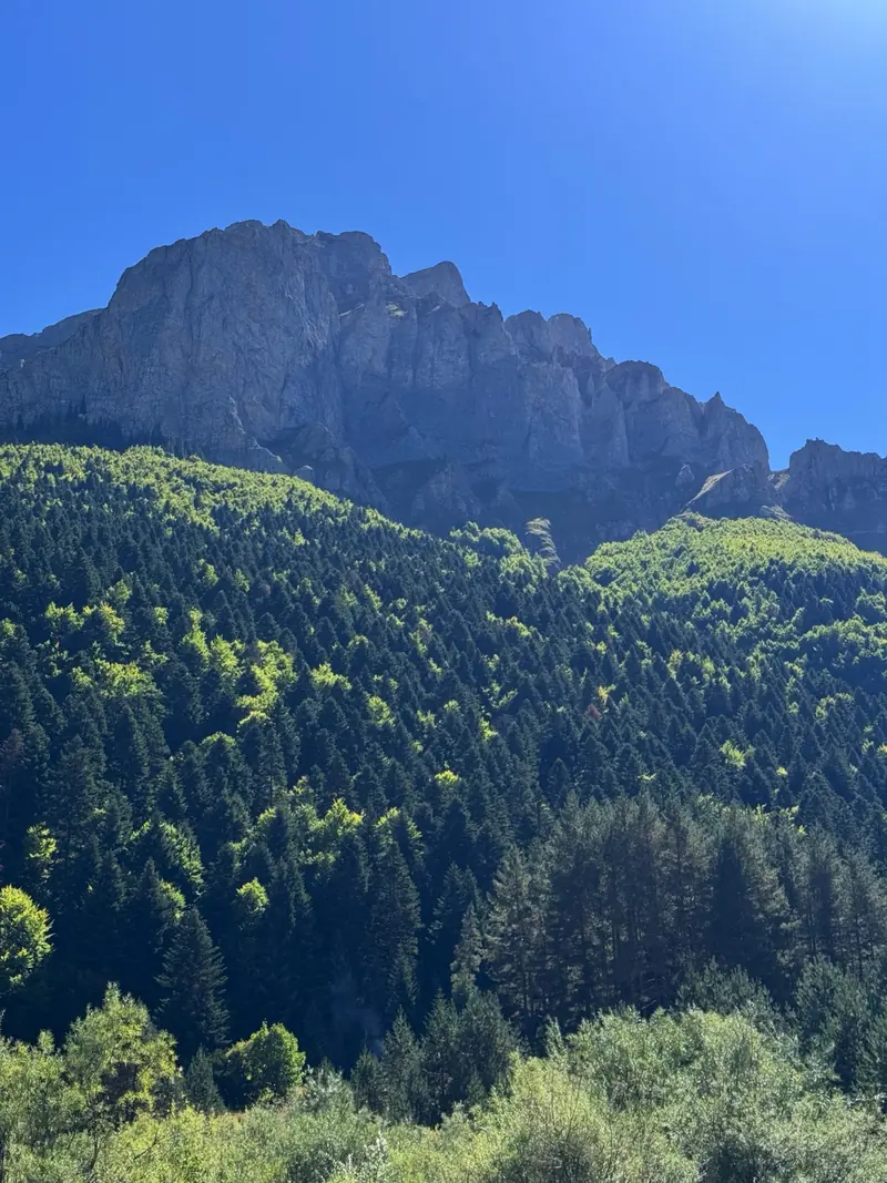 Falaises calcaires au-dessus d'une forêt dense et verte